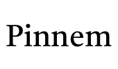 Pinnem Consulting